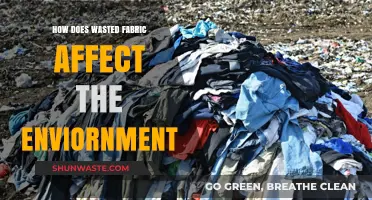 Wasted Fabric's Environmental Impact: Pollution, Waste, and Sustainability Solutions