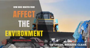 Food Waste's Environmental Impact: A Hidden Crisis Threatening Our Planet