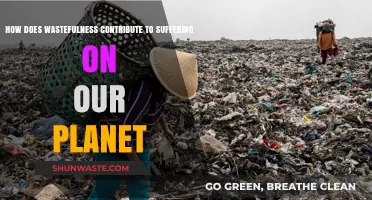 Wastefulness' Impact: How Excess Harms Our Planet and People