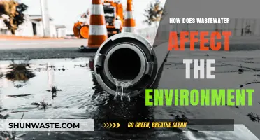 Wastewater's Environmental Impact: Pollution, Ecosystems, and Sustainable Solutions