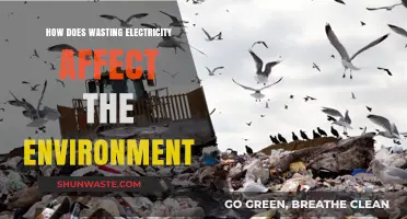 Wasting Electricity: Environmental Impact and Sustainable Energy Solutions