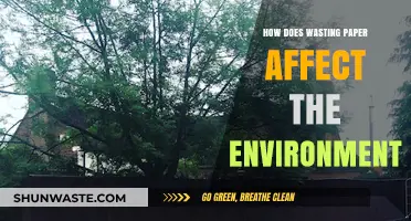 Paper Waste's Environmental Impact: Deforestation, Pollution, and Climate Change
