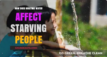 Water Waste's Hidden Impact: Exacerbating Hunger and Starvation Globally