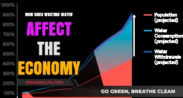 Water Waste's Economic Impact: Hidden Costs and Long-Term Consequences