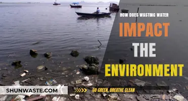 Water Waste Crisis: Environmental Consequences of Our Careless Consumption
