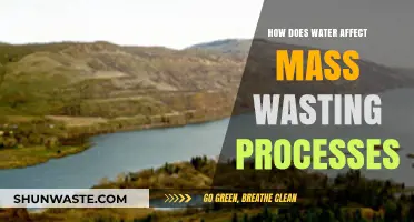 Water's Role in Triggering and Accelerating Mass Wasting Processes