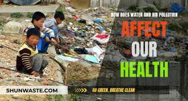 Water and Air Pollution: Our Health at Risk