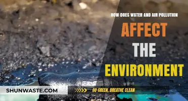 Environmental Impact: Water and Air Pollution's Devastating Effects Explained