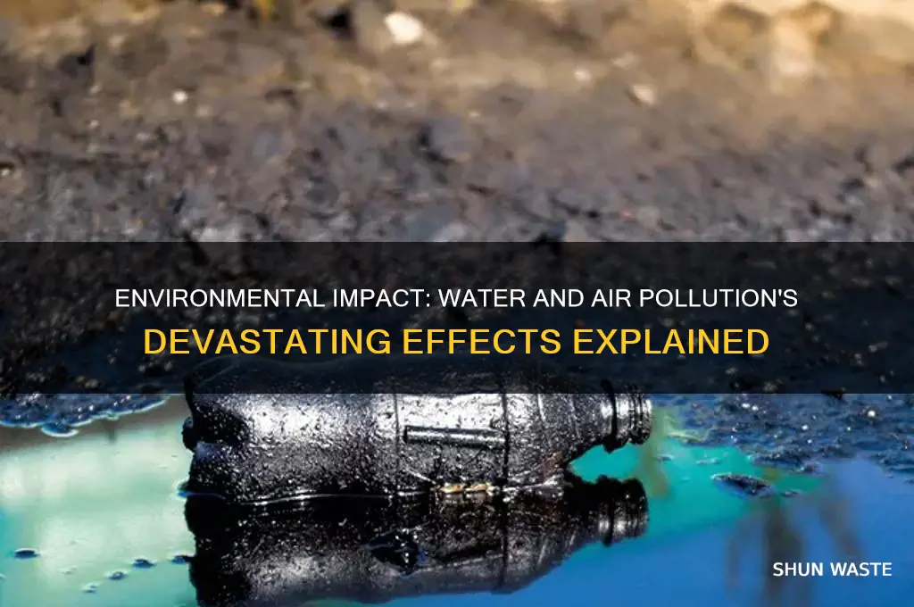 how does water and air pollution affect the environment