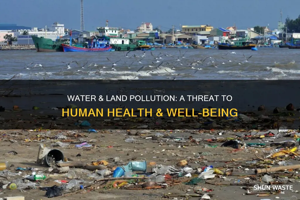 how does water and land pollution affe t humans