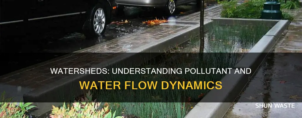 how does water and pollutants move through a watershed