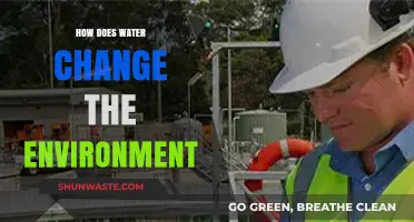 Water's Transformative Power: Shaping Ecosystems and Changing Our Environment
