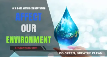 Water Conservation: Protecting Ecosystems, Preserving Resources, and Sustaining Our Planet