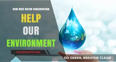 Water Conservation: Protecting Ecosystems, Saving Energy, and Sustaining Our Planet