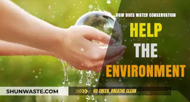 Water Conservation: Protecting Ecosystems, Saving Energy, and Sustaining Our Planet