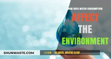 Water Consumption's Environmental Impact: Sustainability, Ecosystems, and Conservation Strategies