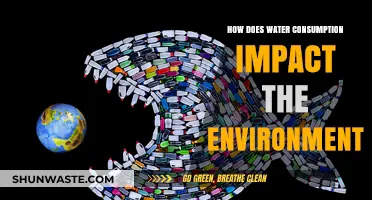 Water Consumption's Environmental Impact: Sustainability, Conservation, and Ecosystem Health