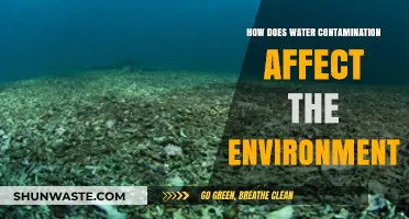Water Contamination's Devastating Impact on Ecosystems and Environmental Health