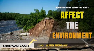 Water Damage to Roads: Environmental Impacts and Sustainable Solutions