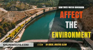 Water Diversion's Environmental Impact: Ecosystems, Wildlife, and Sustainability Concerns