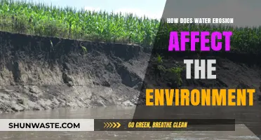 Water Erosion's Impact: Shaping Landscapes and Altering Ecosystems