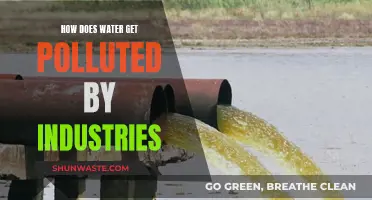 Industrial Water Pollution: Unveiling the Hidden Hazards