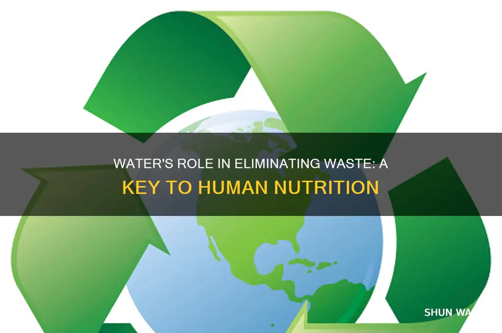 how does water get rid of waste human nutrition