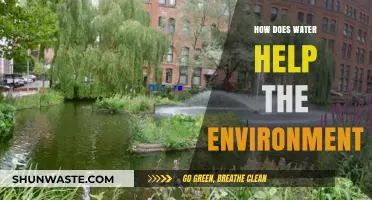 Water's Vital Role: Sustaining Ecosystems and Preserving Our Planet's Health