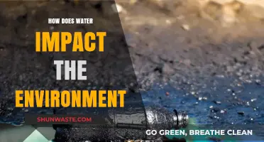 Water's Vital Role: Shaping Ecosystems and Environmental Sustainability