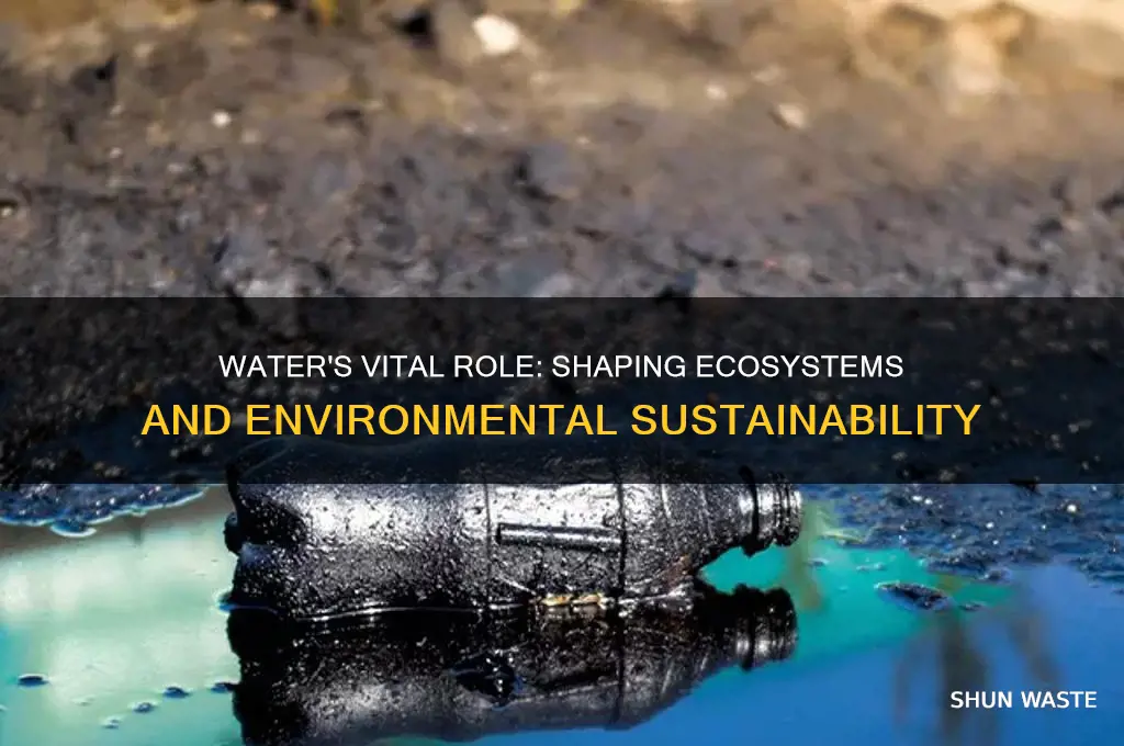 how does water impact the environment