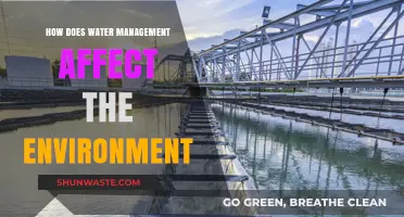 Water Management's Environmental Impact: Balancing Sustainability and Ecosystem Health