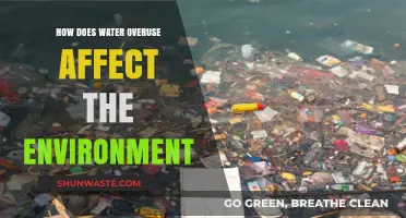 Water Overuse Crisis: Devastating Environmental Impacts and Urgent Solutions