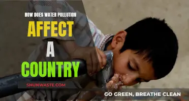 Water Pollution's Devastating Impact on Countries