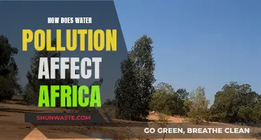 Water Pollution's Impact: Africa's Crisis