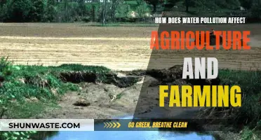 Water Pollution's Impact on Agriculture and Farming