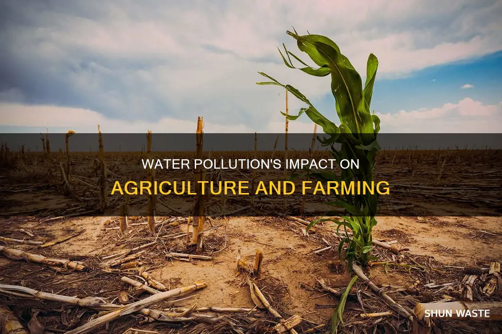 how does water pollution affect agriculture and farming