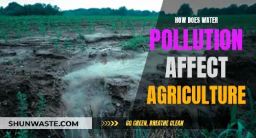 Water Pollution's Impact on Agriculture: A Growing Concern