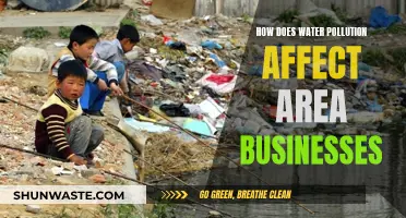 Water Pollution: Impacting Local Businesses and Livelihoods