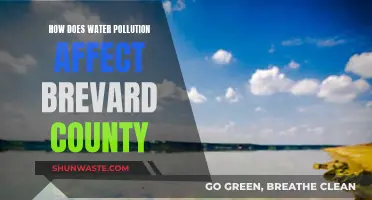 Water Pollution's Impact on Brevard County's Environment