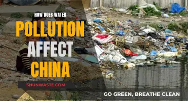 Water Pollution's Impact on China's Environment and Health