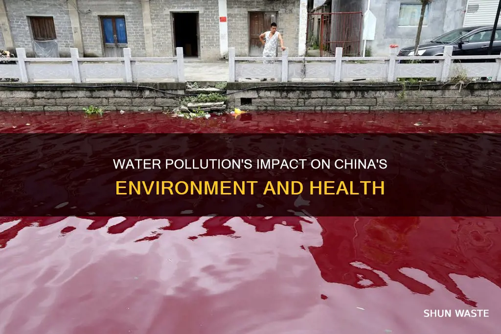 how does water pollution affect china