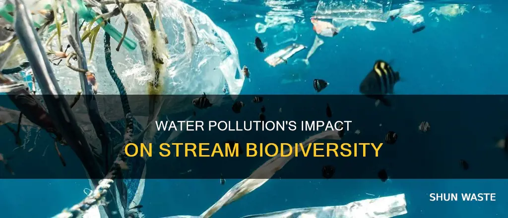 how does water pollution affect diversity in some streams