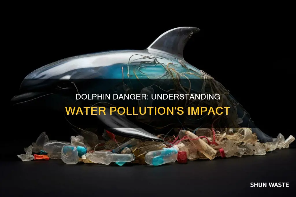 how does water pollution affect dolphins