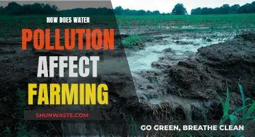 Water's Dark Side: How Pollution Threatens Farmland