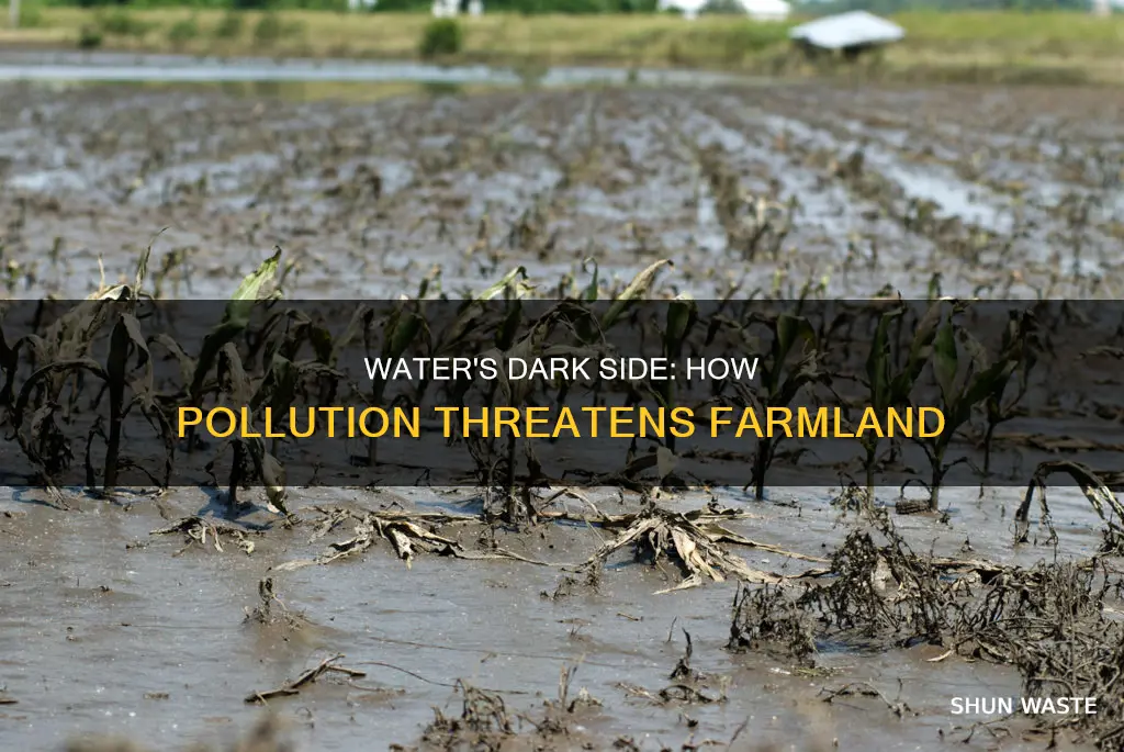 how does water pollution affect farming