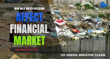 Water Pollution's Financial Fallout: Impact on Global Markets