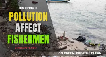 Water Pollution: Fishermen's Adversary and Adversity