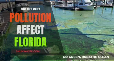 Water Pollution's Impact on Florida's Environment