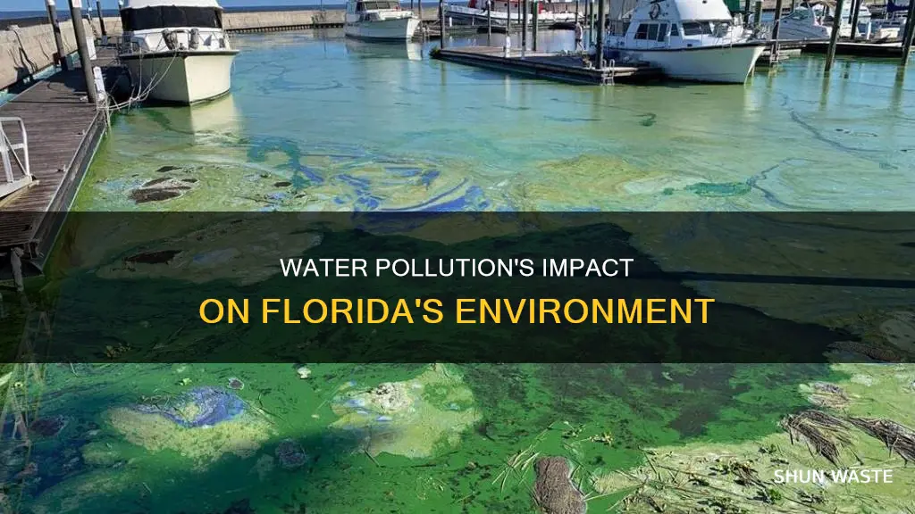 how does water pollution affect florida