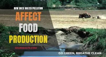 Water Pollution's Impact on Food Production and Security